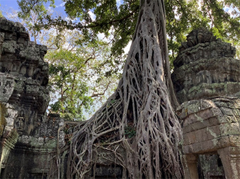 おおはしクリニック