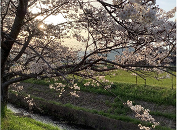 おおはしクリニック