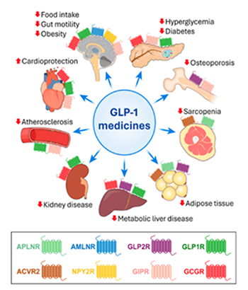 おおはしクリニック