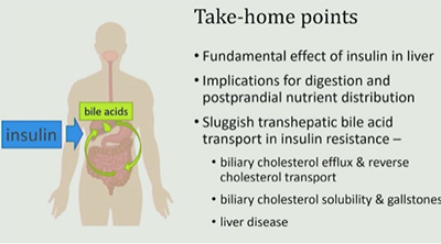 おおはしクリニック