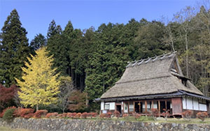 おおはしクリニック