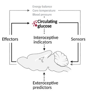 おおはしクリニック