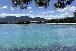 おおはしクリニック