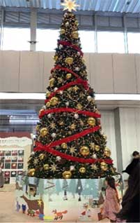 おおはしクリニック