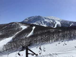 おおはしクリニック