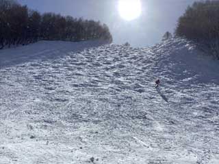 おおはしクリニック